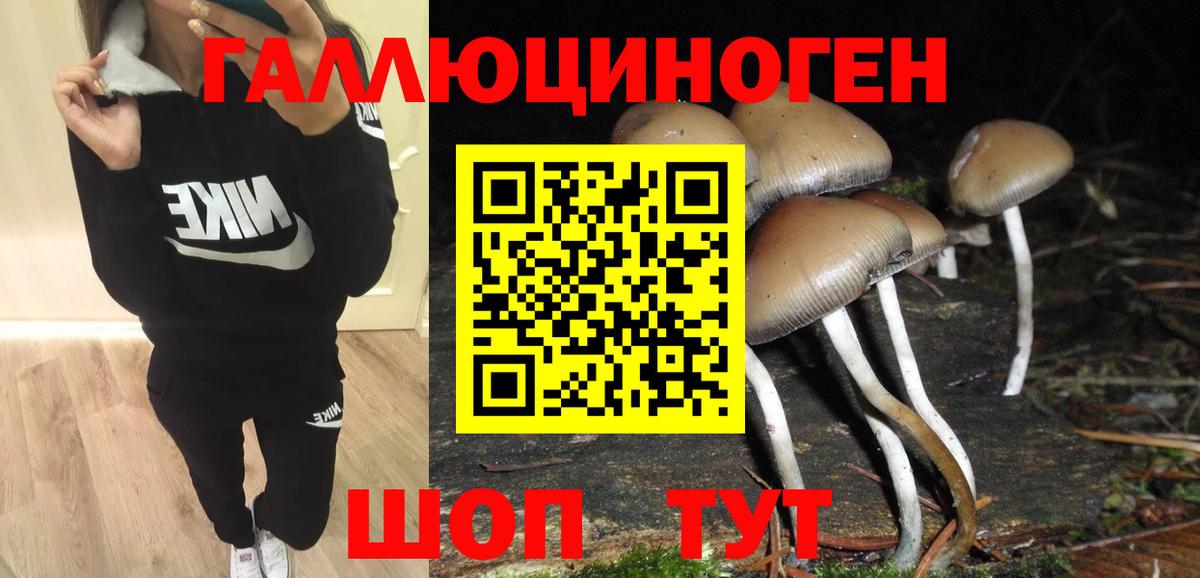 Чебаркуль  Галлюциногенные грибы GOLDEN TEACHER  Галлюциногенные грибы мицелий  Вход с VPN 