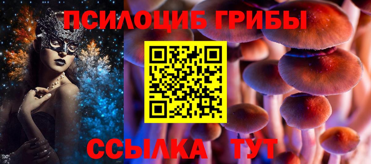 Галлюциногенные грибы GOLDEN TEACHER Чебаркуль